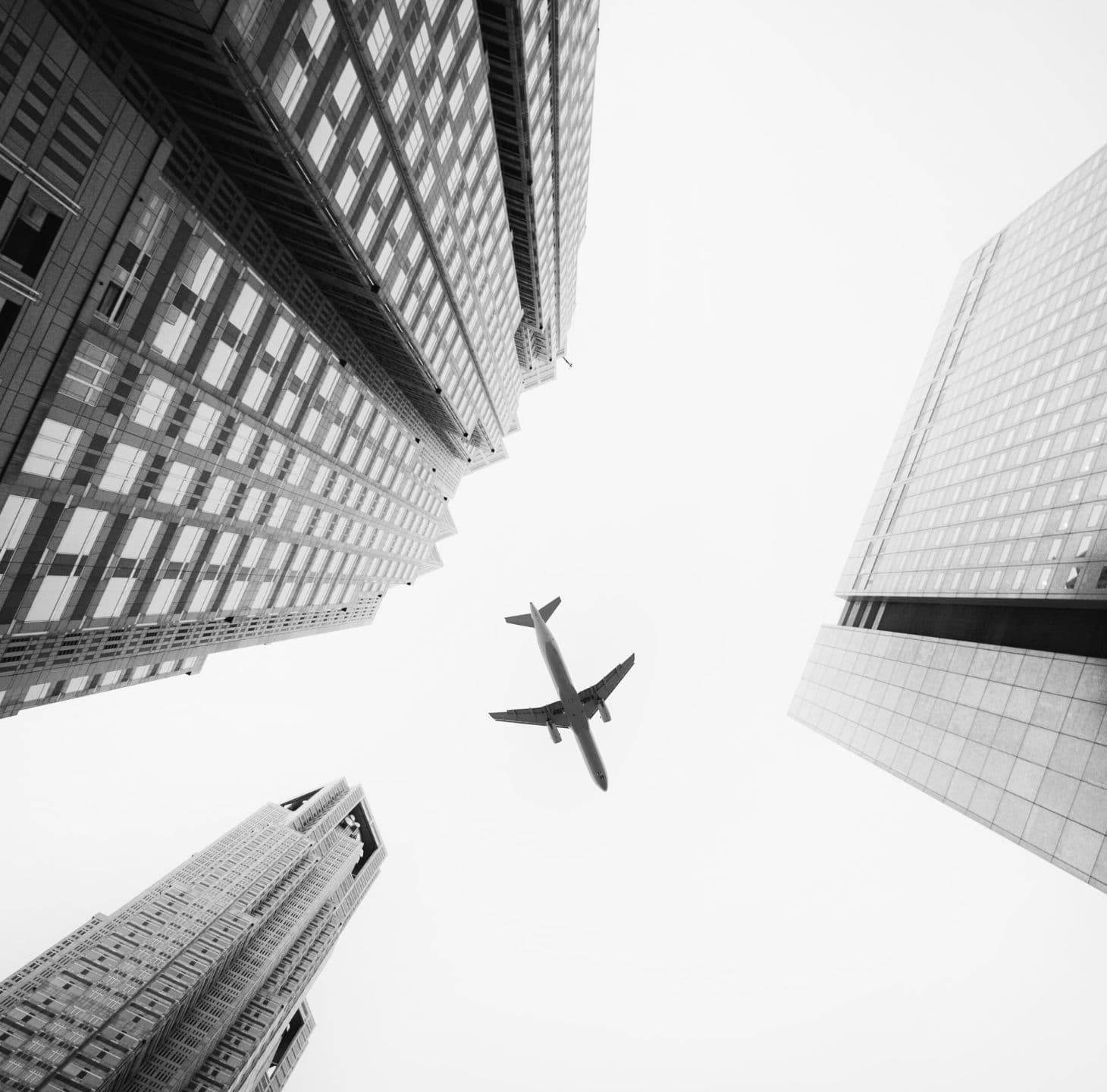 Tripo Easy travel experts helping customers book flights and hotels